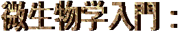 �������w����F
